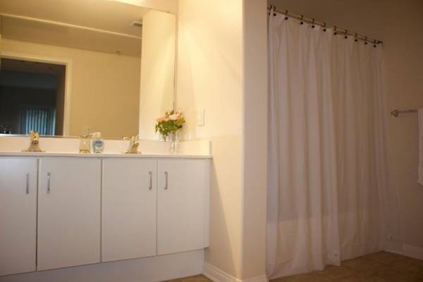 Amazing Apartments near the grove