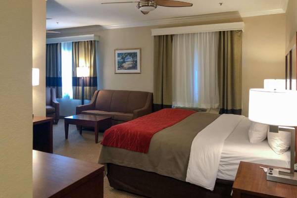 Comfort Inn Early Brownwood