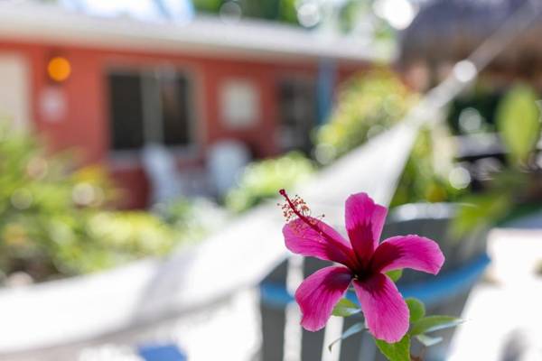 Siesta Key Beachside Villas