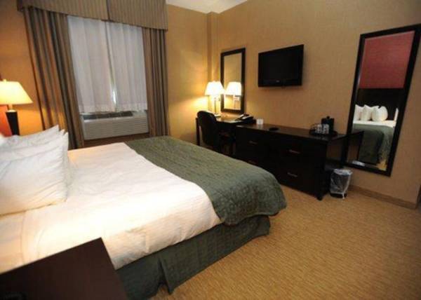 The Vue Hotel Ascend Hotel Collection