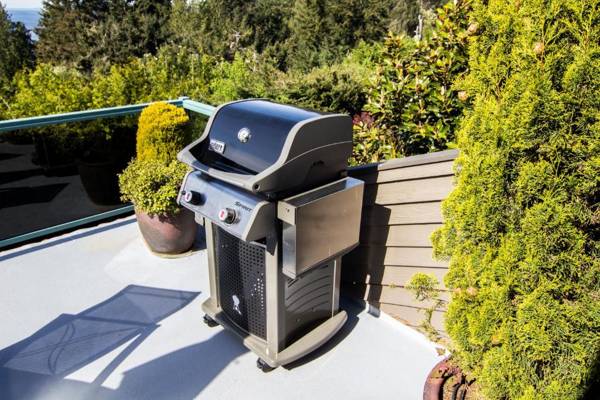 Olympic View Cottage