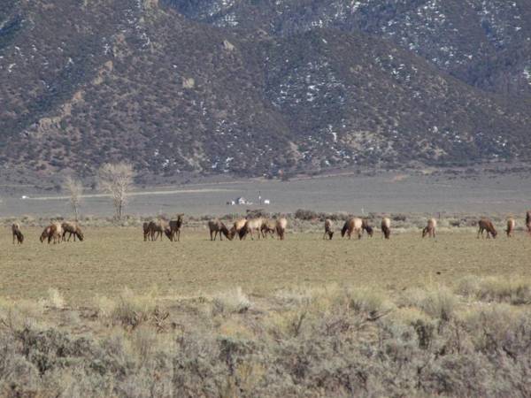 Narrow Gauge Railroad Inn