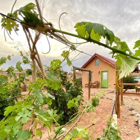 Willow Street Cottages