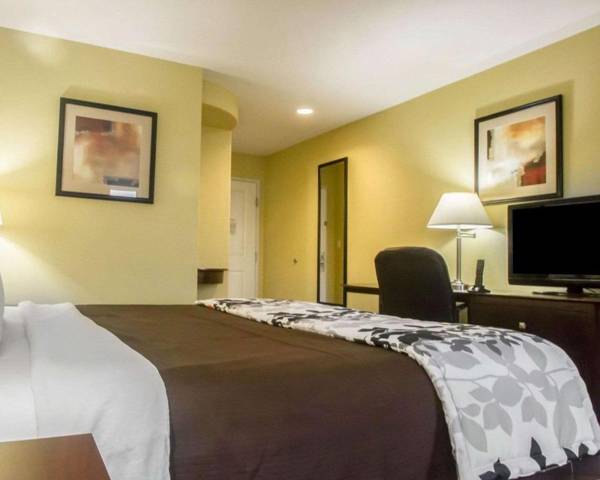 Rodeway Inn & Suites