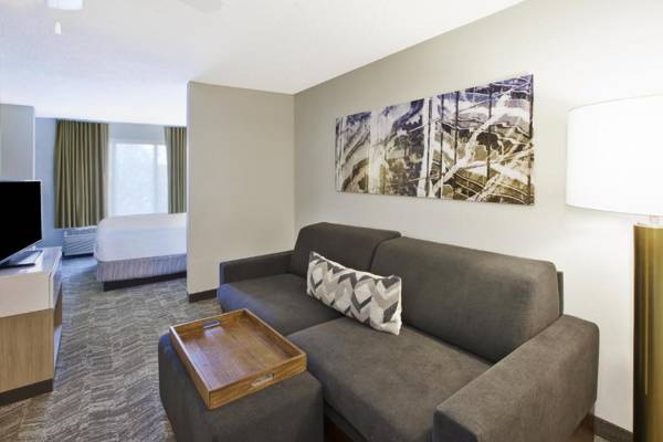 SpringHill Suites Minneapolis-St. Paul Airport/Eagan