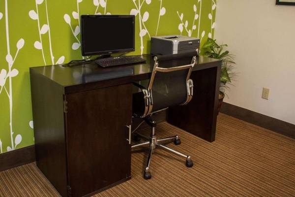 Workspace - Sleep Inn & Suites Harbour Pointe Midlothian