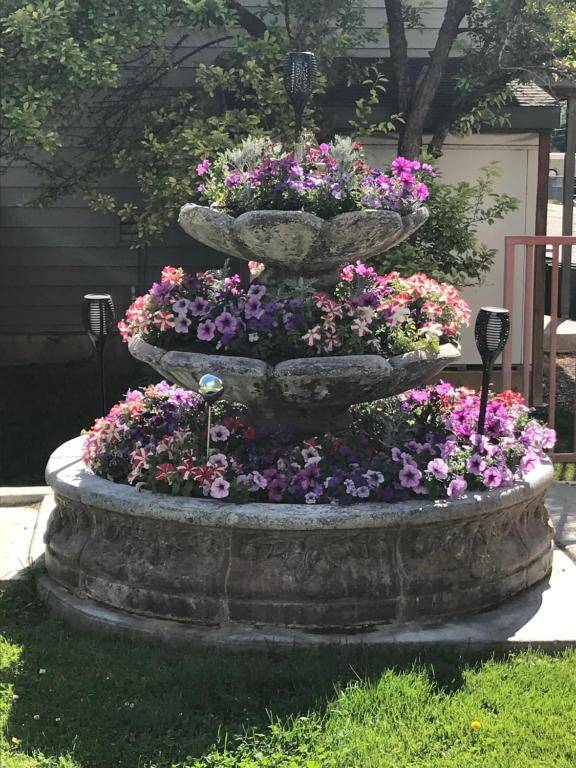 Blue Spruce Inn-Meeker Colorado