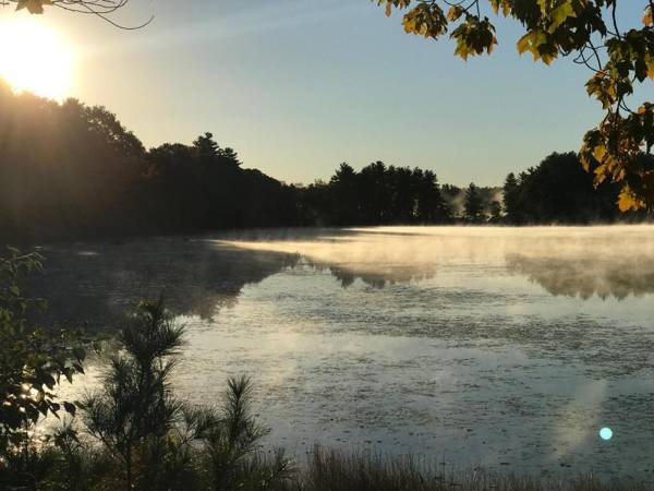 The Cottages at Harvey Lake
