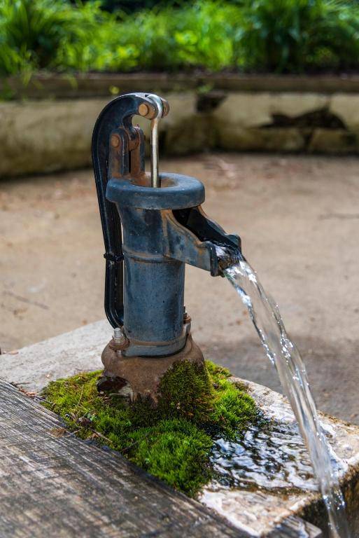 The Cabins at Healing Springs