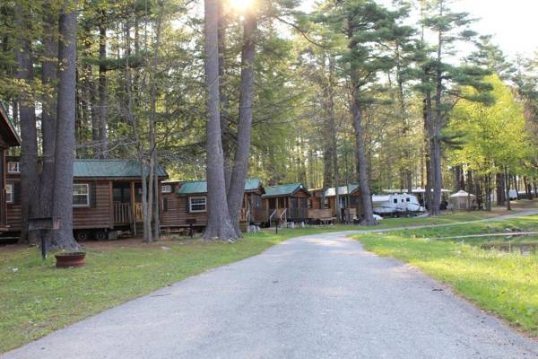 Alpine Lake Lakefront Cabin 5