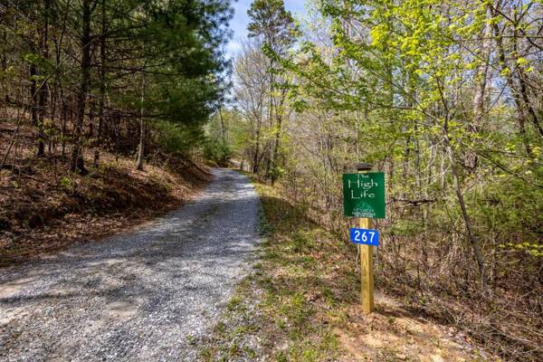 The High Life LONG RANGE VIEWS OF THE BLUE RIDGE MOUNTAINS