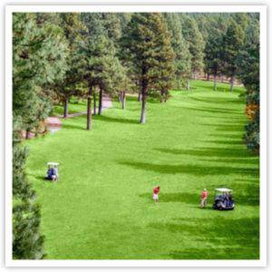 Pendaries Village Lodge