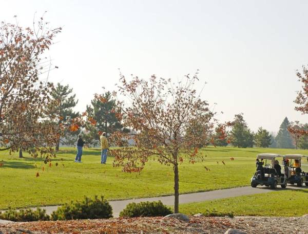 Country-style Cabins near Pelican Lake in Breezy Point