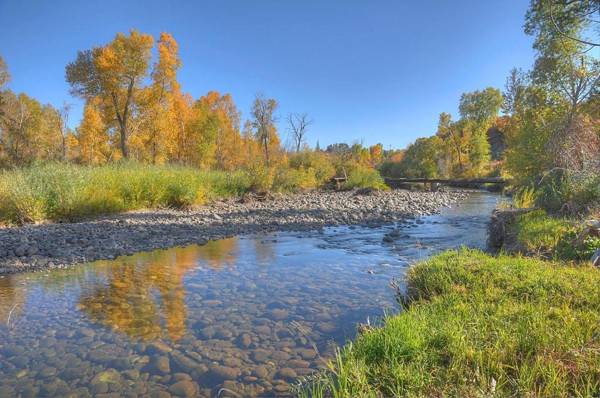 Pine River Cabin 2 BR Bayfield