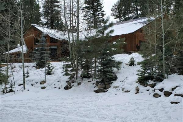 Seven Pines Cabin in Vallecito Lake Area