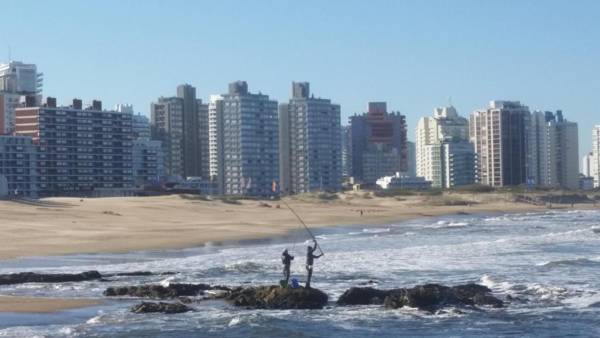 Apartamento en Torre Del Plata II