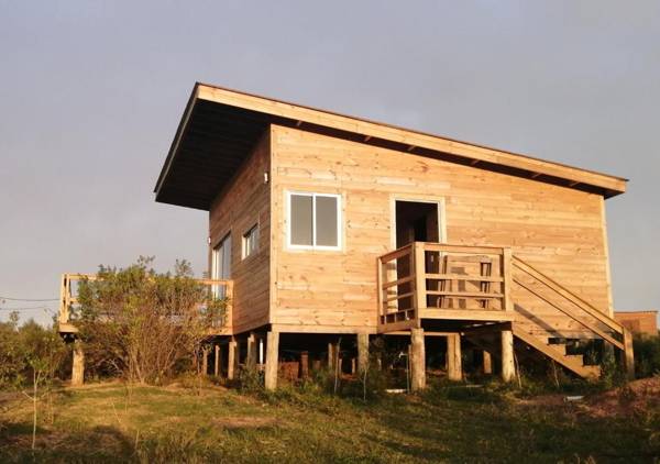 Charrua de Punta colorada