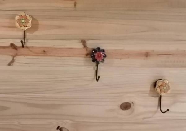 Charrua de Punta colorada