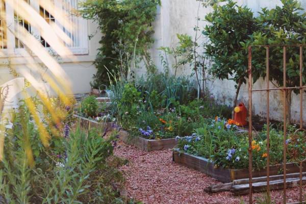 Alquimista Montevideo