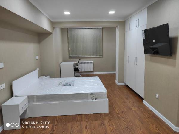 1-bedroom Apartment in the very city center (Shedevr)