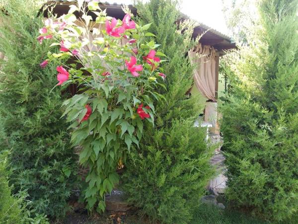 Green House ECO HOTEL