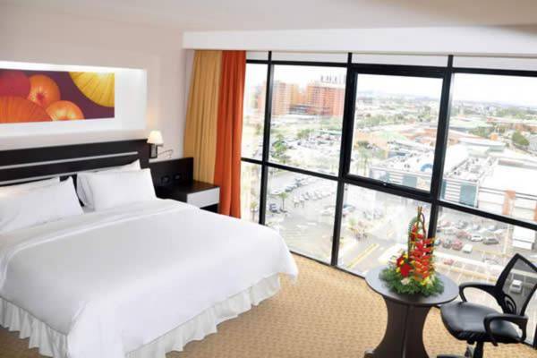 ECO PREMIUM PALAZA MERU