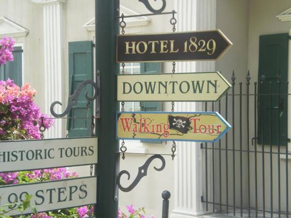 The Green Iguana Hotel