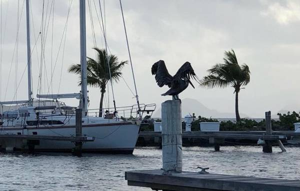 Sapphire Beach Villa Ocean and Marina View