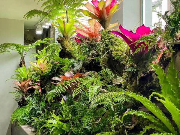 Dốc Garden Homestay - Apartment & Coffee