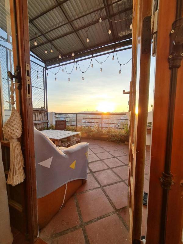 Raccoon & Paws Homestay Dalat