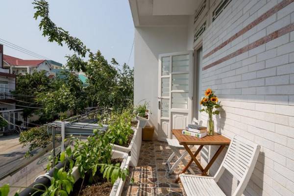 Sky Harbour Homestay