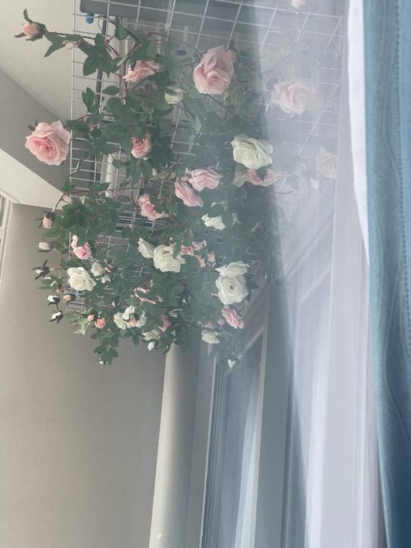 Căn hộ Condontel The Sóng Vũng Tàu