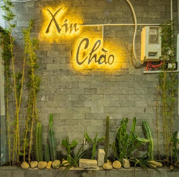 Cactusland Apartment