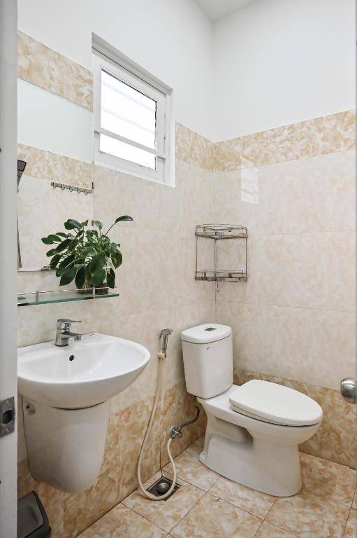 Bear's House - The Riverside