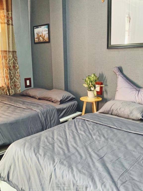 Homestay StarFish Quy Nhơn