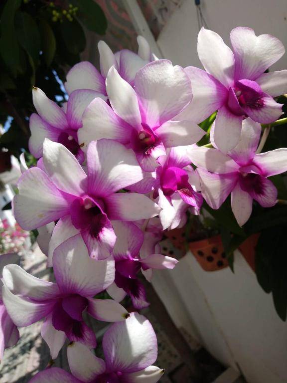 Hung Phuc Mui Ne Hotel