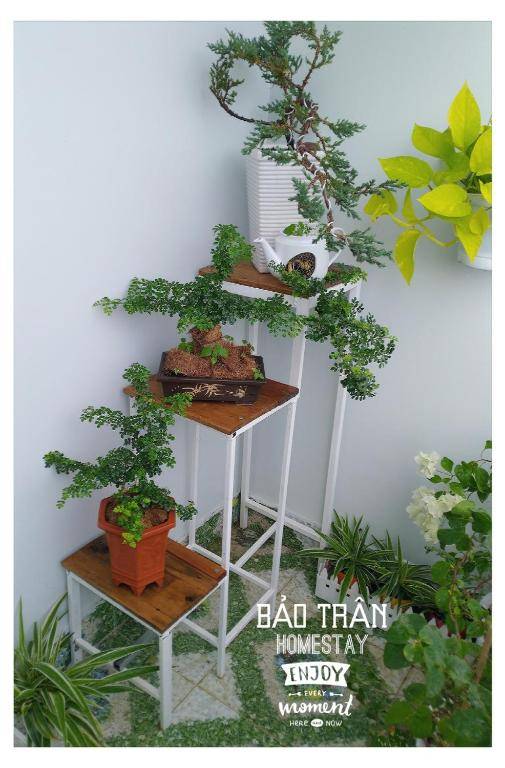 Homestay Bảo Trân