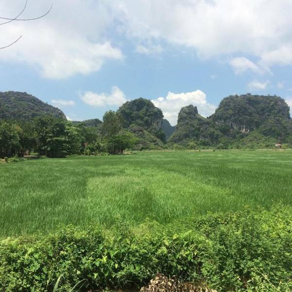 Tam Coc Tuan Minh Homestay