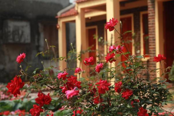 Tam Coc Sunshine Homestay