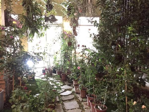 Rose Homestay