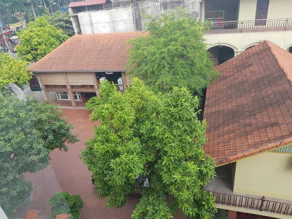 Ninh Binh Central Backpackers hostel