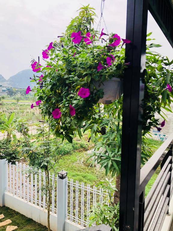 Ninh Binh Brother's Homestay