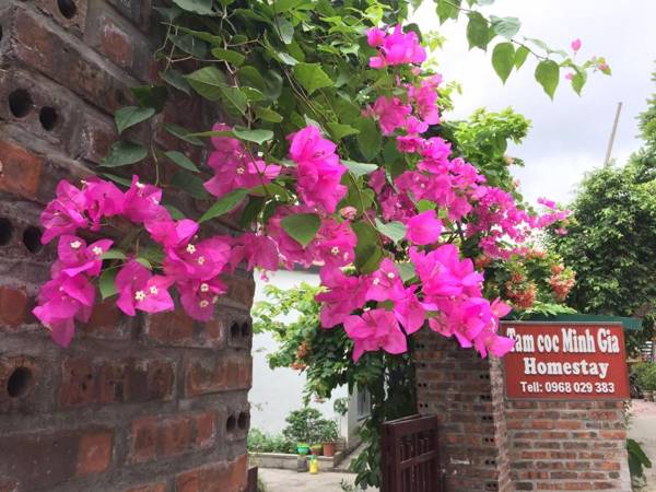 Tam Coc Minh Gia Homestay