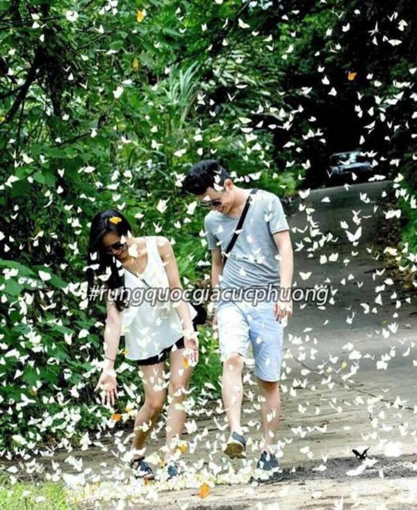 Trang An Freedom Hood