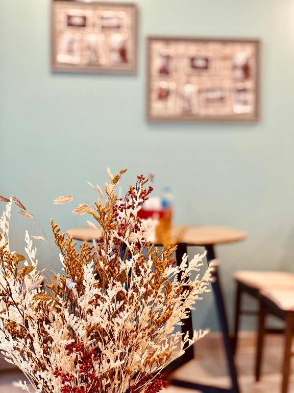 Gold Coast Beach Apartments