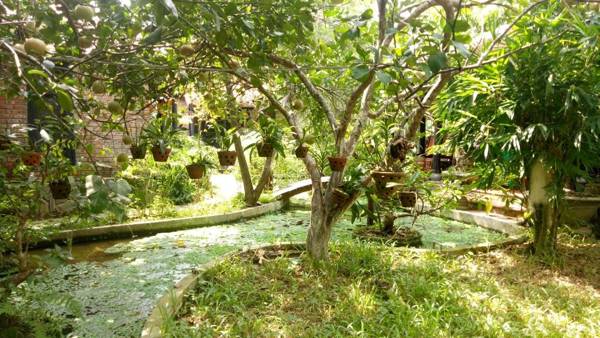 Tam Tinh Vien Homestay