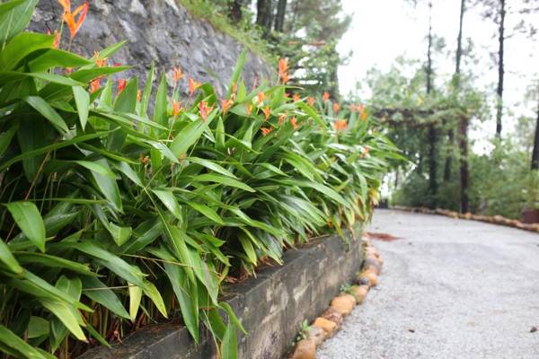 Sankofa Village Hill Resort & Spa