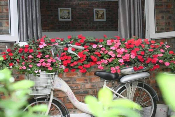 Loan Kim Homestay Huế - Venue Travel
