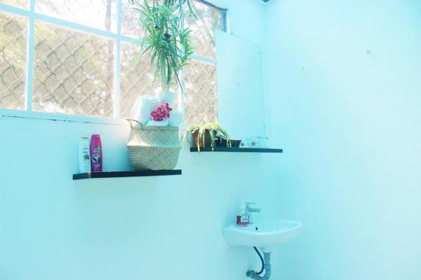 An Bang Purple Homestay