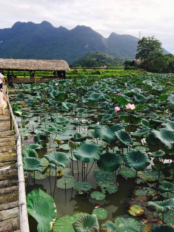 Royal Hotel Ha Giang